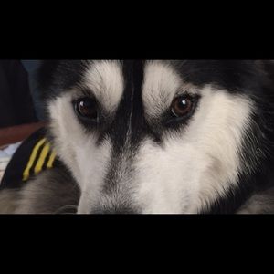 Meet your Posher, Christy